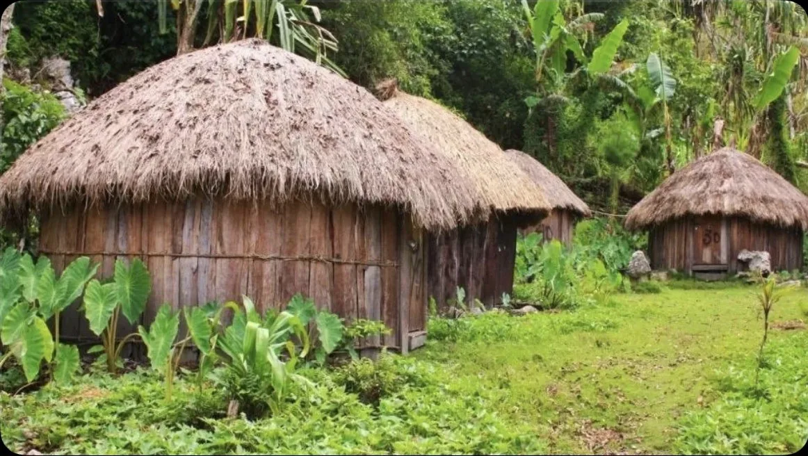 Rumah Honai