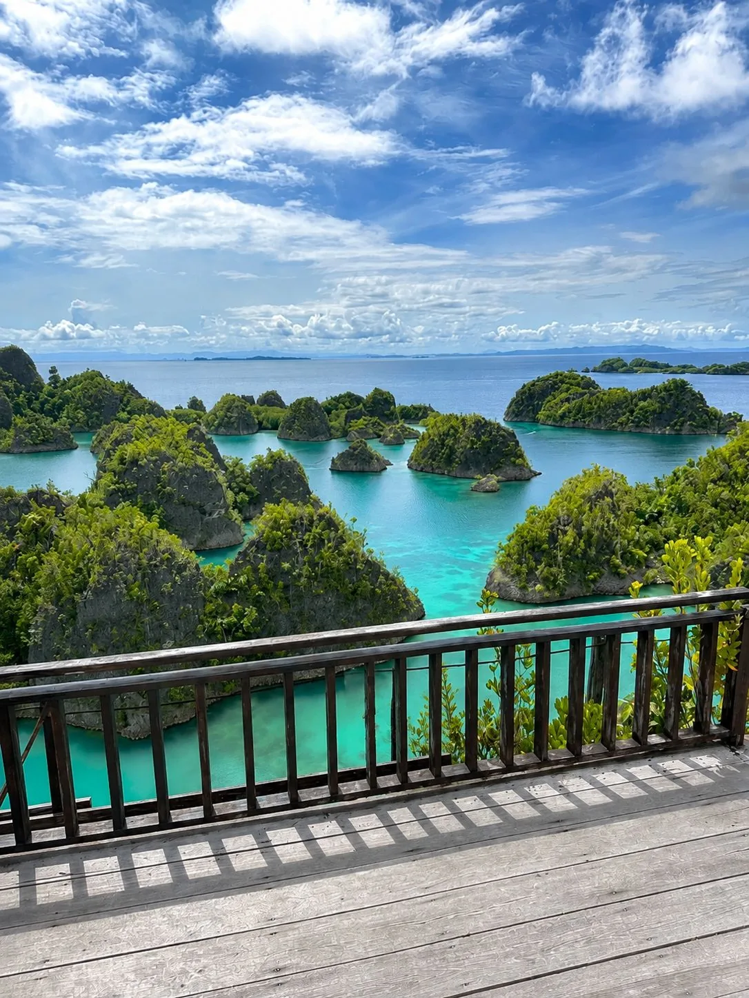 Raja Ampat scenic viewpoint